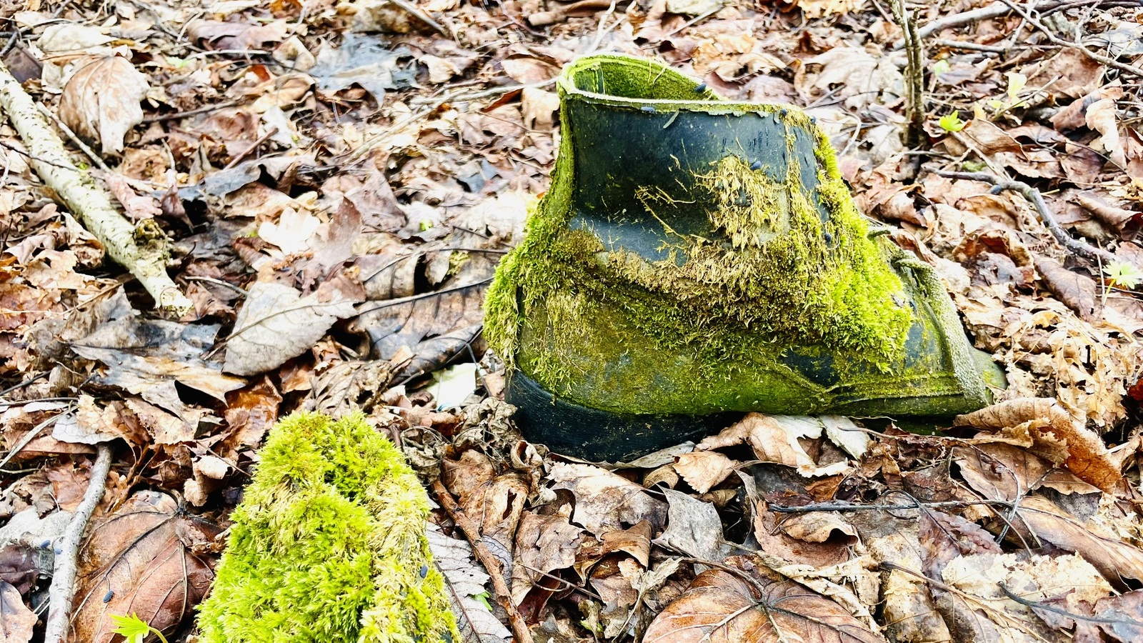 Ukliďme Morávku 05.04.2025